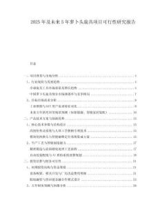 2025年及未來5年蘿卜頭旋具項目可行性研究報告