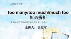 人教版初中初三九年級(jí)英語(yǔ)-名師教學(xué)課件-短語(yǔ)辨析too-many-too-much-much-too