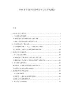 2025年單級中壓泵項目可行性研究報告