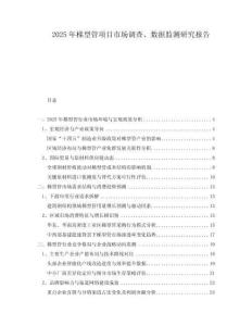 2025年梯型管項(xiàng)目市場(chǎng)調(diào)查、數(shù)據(jù)監(jiān)測(cè)研究報(bào)告