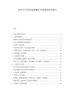 2025年中國非標(biāo)準(zhǔn)螺釘市場調(diào)查研究報(bào)告
