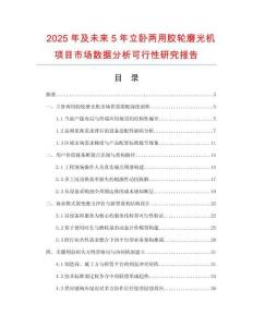 2025年及未來5年立臥兩用膠輪磨光機(jī)項(xiàng)目市場(chǎng)數(shù)據(jù)分析可行性研究報(bào)告