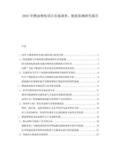 2025年燃油噴咀項目市場調查、數據監測研究報告
