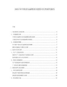 2025年中國齊頭扁銼項目投資可行性研究報告