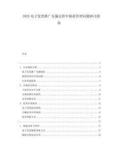 2025電子發票推廣實施過程中稅收管理問題研討指南