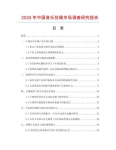 2025年中國音樂拉繩市場調(diào)查研究報告