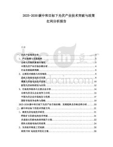 2025-2030碳中和目標下光伏產(chǎn)業(yè)技術(shù)突破與政策紅利分析報告