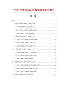 2025年中国彩石砖数据监测研究报告