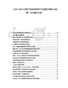 2025-2030中國半導體材料國產化率提升路徑與晶圓廠合作模式分析