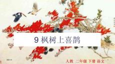 9-楓樹上的喜鵲PPT課件