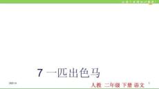 7一匹出色的馬PPT課件