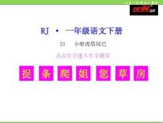 21-小壁虎借尾巴(1)PPT課件