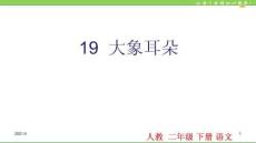 19-大象的耳朵PPT課件