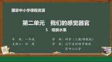 5.觀察水果_課件