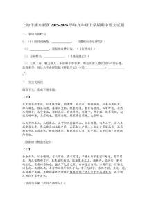 上海市浦東新區(qū)2025-2026學(xué)年九年級(jí)上學(xué)期期中語文試題
