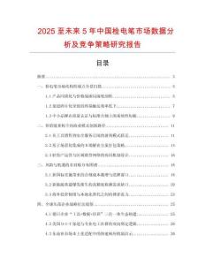 2025至未來(lái)5年中國(guó)檢電筆市場(chǎng)數(shù)據(jù)分析及競(jìng)爭(zhēng)策略研究報(bào)告