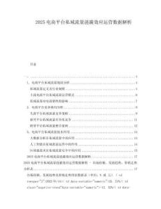 2025電商平臺私域流量漣漪效應(yīng)運營數(shù)據(jù)解析