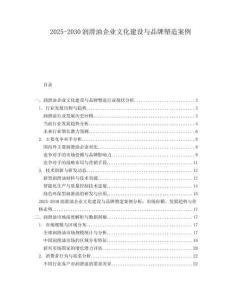 2025-2030潤滑油企業文化建設與品牌塑造案例