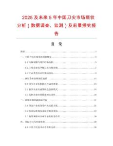 2025及未來(lái)5年中國(guó)刀尖市場(chǎng)現(xiàn)狀分析（數(shù)據(jù)調(diào)查、監(jiān)測(cè)）及前景探究報(bào)告