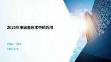 2025年電鉆套在術(shù)中的巧用