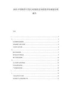 2025中國軟件開發行業現狀競爭投資評估規劃分析報告
