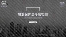 鋼筋保護(hù)層厚度檢測(cè)