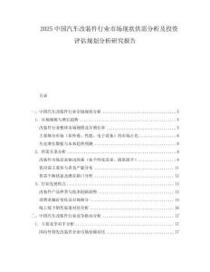 2025中國(guó)汽車改裝件行業(yè)市場(chǎng)現(xiàn)狀供需分析及投資評(píng)估規(guī)劃分析研究報(bào)告
