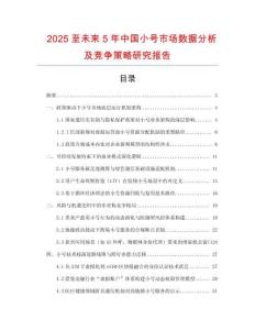 2025至未來5年中國小號市場數(shù)據(jù)分析及競爭策略研究報告