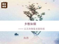 初中語(yǔ)文群文閱讀《鄉(xiāng)愁如煙》課件 (2)