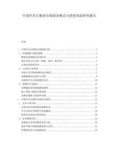 中國汽車后服務市場商業模式與投資風險研究報告