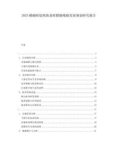 2025蟆蟯暄錠檳趿蚤瘥膘蟯嗤蟯發展規劃研究報告