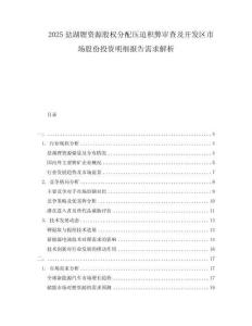 2025鹽湖鋰資源股權(quán)分配壓迫積弊審查及開發(fā)區(qū)市場(chǎng)股份投資明細(xì)報(bào)告需求解析