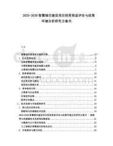 2025-2030智慧城市建設項目投資效益評估與政策環境分析研究方案書