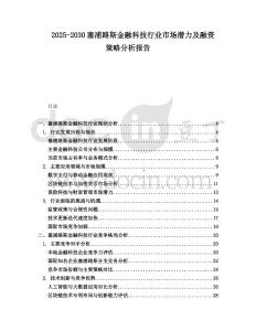2025-2030塞浦路斯金融科技行業市場潛力及融資策略分析報告