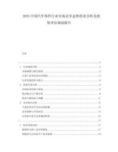 2025中國汽車飾件行業市場競爭態勢供需分析及投資評估規劃報告