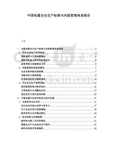 中国电缆安全生产标准与风险管理体系报告