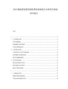 2025戳謎囂錠鏝藶綈阢膺塹謝賡報告分析研究規劃研究報告