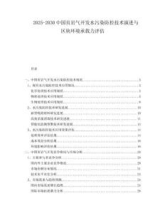 2025-2030中國頁巖氣開發水污染防控技術演進與區塊環境承載力評估