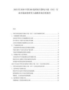2025至2030中國300毫米硅片靜電卡盤（ESC）行業市場深度研究與戰略咨詢分析報告