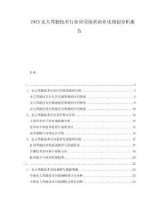 2025無人駕駛技術(shù)行業(yè)應(yīng)用場景商業(yè)化規(guī)劃分析報告