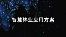 智慧林業(yè)應用方案32頁