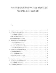 2025西爾伯倫鎢鋼商業(yè)競爭格局需態(tài)變化探討及投資安穩(wěn)增長企業(yè)計劃藍(lán)本分析