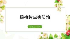 楊梅樹蟲害防治