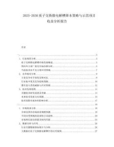 2025-2030質(zhì)子交換膜電解槽降本策略與示范項(xiàng)目收益分析報(bào)告