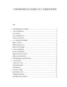 中國同軸電纜企業(yè)文化建設與員工忠誠度培養(yǎng)機制