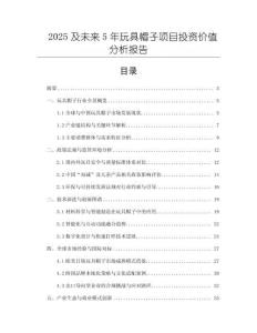 2025及未來5年玩具帽子項目投資價值分析報告