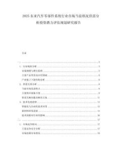 2025東亞汽車零部件系統行業市場當前狀況供需分析投資潛力評估規劃研究報告