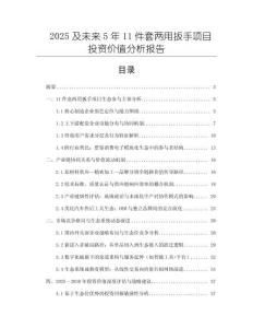 2025及未來5年11件套兩用扳手項(xiàng)目投資價(jià)值分析報(bào)告