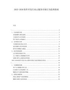 2025-2030軟件開發行業云服務市場行為監理指南