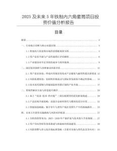 2025及未來5年鐵制內(nèi)六角套筒項(xiàng)目投資價(jià)值分析報(bào)告